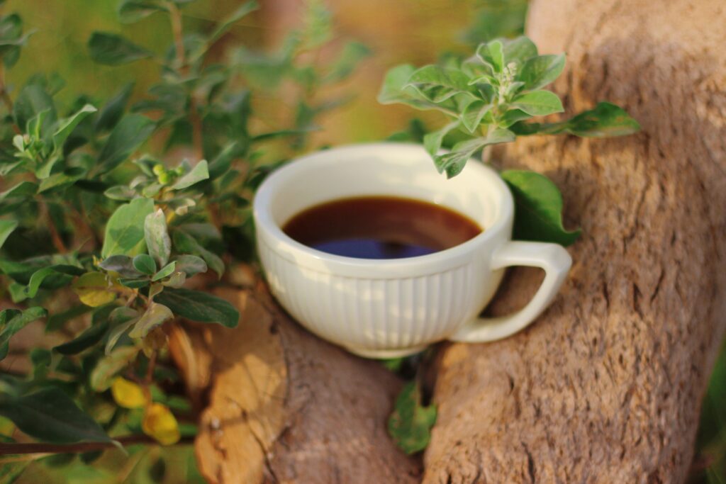 Best Coffee for Beginners